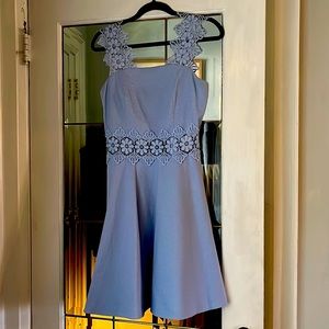 Ted Baker London Lace Detail Dress. Ted 2, US 4-6